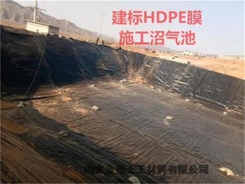 贾汪区国标HDPE黑膜1.0厚耐腐蚀性强 藕塘防渗土工布