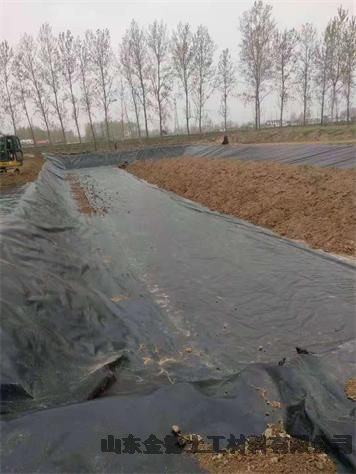 惠山区HDPE防水卷材1.5mm美标1mm厚HDPE土工膜 1.5mm厚EVA防水板