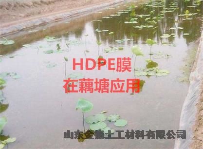 吴江区3.0mm6米宽HDPE黑膜2.5mm厚美标HDPE膜 生产厂家在哪里